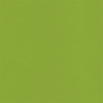 Cubiertas de Silestone verde fun